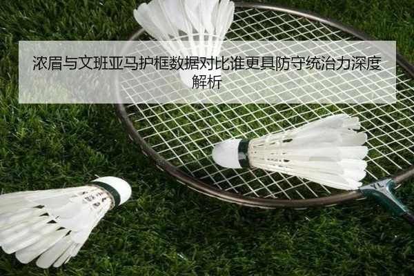浓眉与文班亚马护框数据对比谁更具防守统治力深度解析